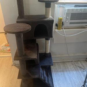 Cat play house